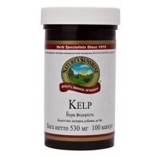 Келп (Бурая водоросль) / Kelp 